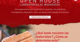 Sol Aravena Nunez (Rápido, Confiable Y De Calidad)