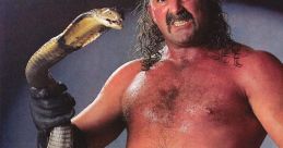 Jake The Snake Roberts WWE Pro Wrestler, AEW manager . Type your text to hear it in the voice of Jake The Snake Roberts
