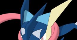 Greninja Greninja