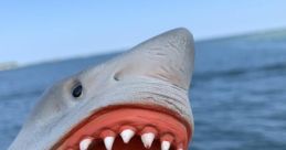 Shark Puppet