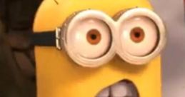 Whaaaat Whaaaat