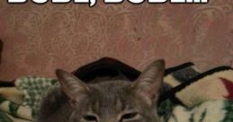 Meow Dude