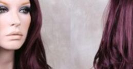 Wigs By Vanity