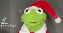 Kermitthepuppet