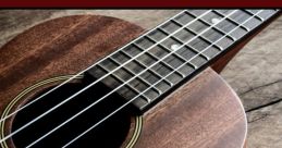 The Ukulele Teacher