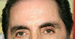 David Proval Actor - The Sopranos, Everybody Loves Raymond, Mean Streets, Four Rooms, Shawshank Redemption, The