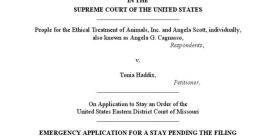 Tonia Haddix