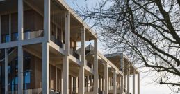 Ali Kingston University