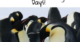 Penguins at Dallas Zoo Type your text to hear it in the voice of Penguins at Dallas Zoo. The Dallas Zoo is a tapestry of
