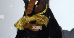Triumph the Insult Comic Dog