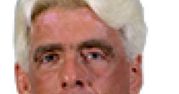 Ric Flair