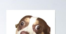 Mr. Bubz