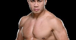 Cung Le