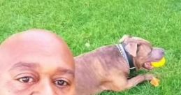 Jay Bestfetchdog