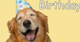 Happy Birthday Animals Type your text to hear it in the voice of Happy Birthday Animals. As the Happy Birthday Animals