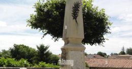 Billuire