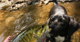Bass Fishing Productions