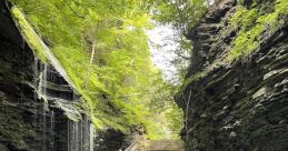 Will Parks