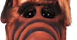 ALF