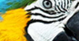 Parrot