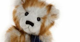 Charlie The Teddy Bear
