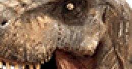 Tyrannosaurus Rex : T-Rex