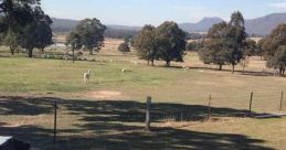 Starline Alpacas Farmstay