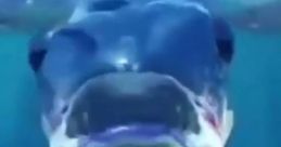 Mamaguevo Fish