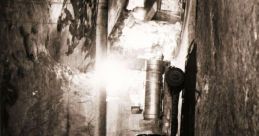 Cavern Kingston