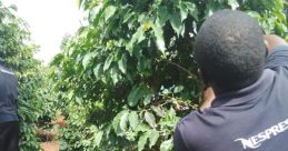 Dennis Kinyua