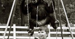 Charlie chimp