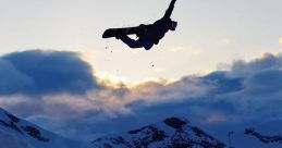 Terje Haakonsen