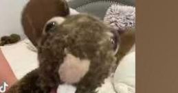 Ratattcks