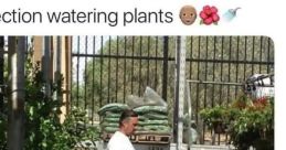 Kimmi Kaiy
