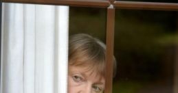 The Nosey Newfoundland Neighbour