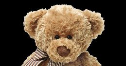 Teddy