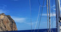 Sailing Songbird