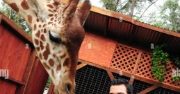 Wildlife Learning Center