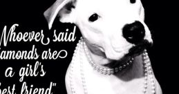 The Whitest Pups You Know