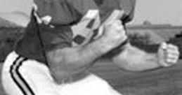 Bob Stein