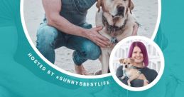Magnus The Therapy Dog