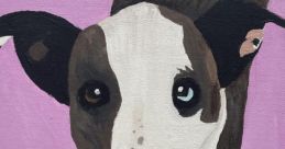 Humane Animal Rescue