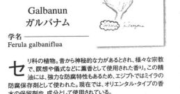 紐育ジュン-JunNakayama