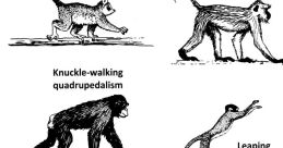 The Primate Type your text to hear it in the voice of The Primate. The Primate Computer AI hummed softly as it processed the