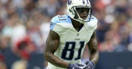 Andre Johnson