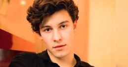 Levy Sathler as Shawn Mendes