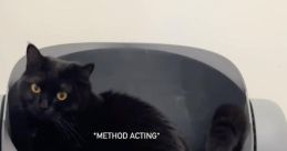 Sweetbabyboysalem