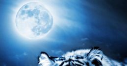 Tiger Moon