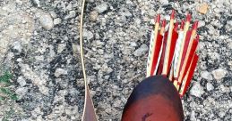 Quivers