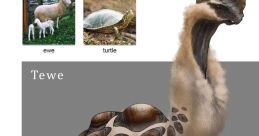 Random sfuweibsfkja